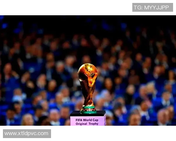 曾捧起足球世界杯奖杯的传奇球星们的辉煌历程与成就解析